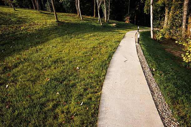 istock Curved Concrete Pathway with Trees and Fallen Leaves in Grassy Area 2238635769