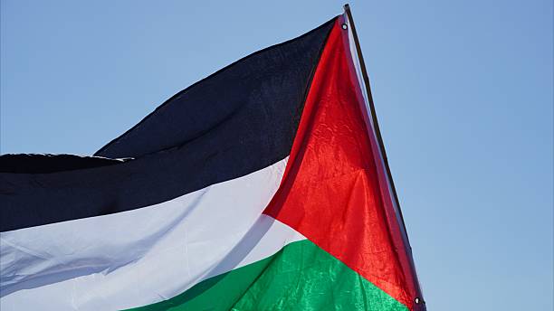 istock Palestinian flag flying against clear blue sky 2238637995