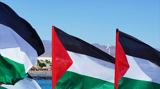 istock Palestinian flags waving by the sea supporting humanitarian aid 2238638069