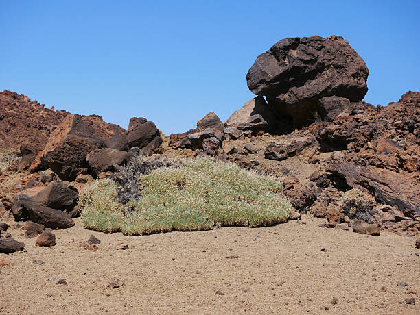 istock Desert landscape with rocky formations and sparse vegetation, covered with pumice in Minas de San Jose, volcano Teide National Park, Tenerife 2238639489