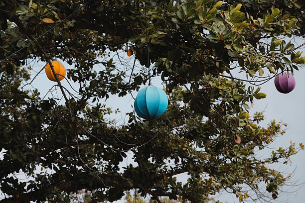 Vibrant hanging decorations on a tree showcase festive colors, creating a playful outdoor mood for everyone