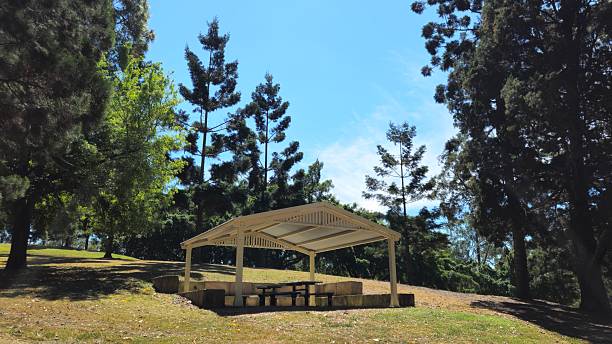 istock A picnic shelter with benches sits in a grassy park clearing surrounded by tall trees under a clear sky. 2238641324