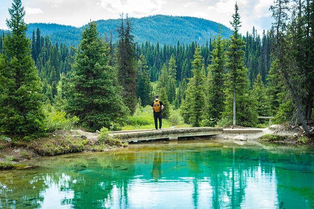 istock Hiker on a bridge over a clear lake with a forest and mountain backdrop 2238643567