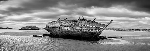old piece of wood on the seashore covered with green moss. piece of wrecked boat.