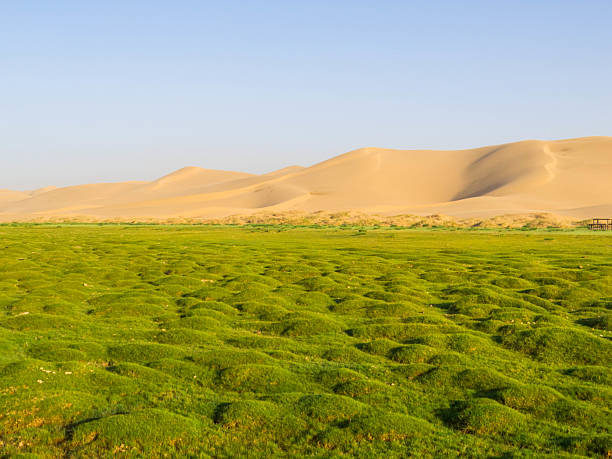 istock Hongor Sand Dunes, Gobi Desert, Mongolia 2238650649