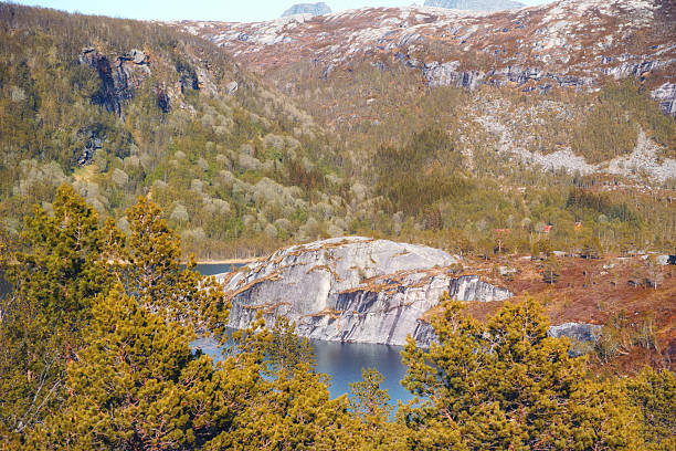 A picturesque Norwegian scene featuring lush green forests of Pinus sylvestris, dramatic rock formations, and a tranquil blue lake. Set within the majestic landscapes of northern Norway, it exudes natural serenity.