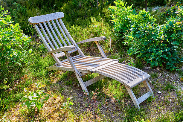A weathered, wooden chaise lounge rests gracefully in a sun-dappled clearing surrounded by vibrant greenery, including shrubs and plants. The natural setting evokes tranquility and relaxation, perfect for outdoor solace.