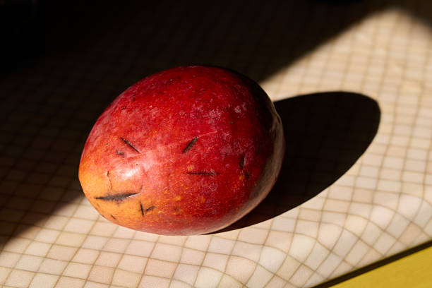A ripe mango, representing the taste of summer, shines even more brightly on a white background. This high-quality photo seems to emit a sweet, rich aroma.