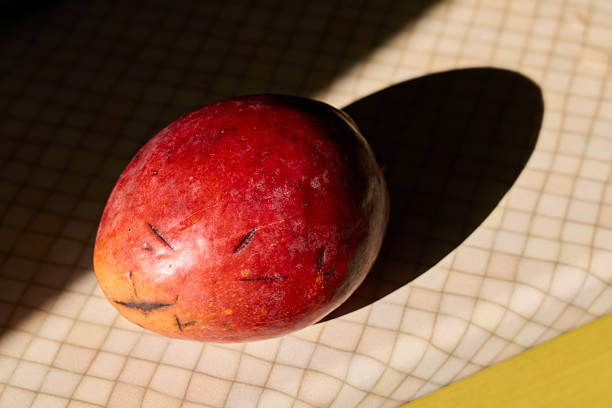 Ripe red mango on a white background.