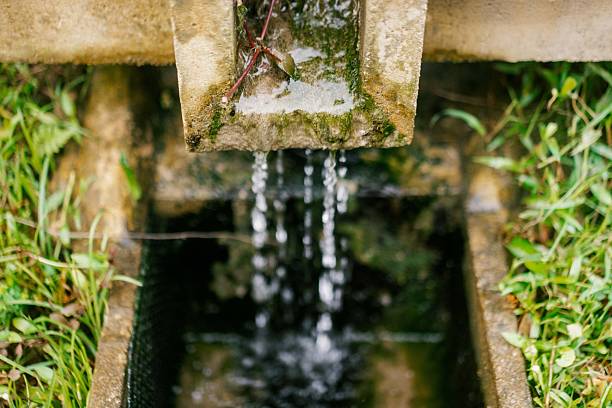 Water runs down the steps of a vineyard.
