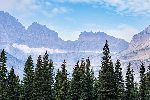Evergreen pines rise in the foreground as Grinnell Glacier lies nestled against the towering cliffs of the Garden Wall in Glacier National Park, Montana, highlighting the dramatic contrast between forest and ice.