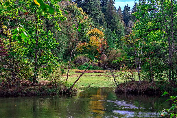 istock Creek in Elgin Heritage Park, White Rock City 2238667929