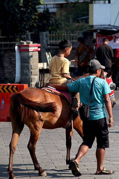 Asian father is accompanying his son on horseback riding on weekend.