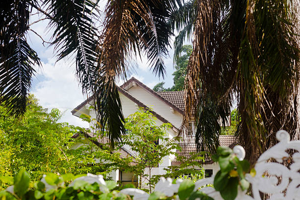 Gable of thai home with surrounding garden and trees in residential district of Bangkok Chatuchak