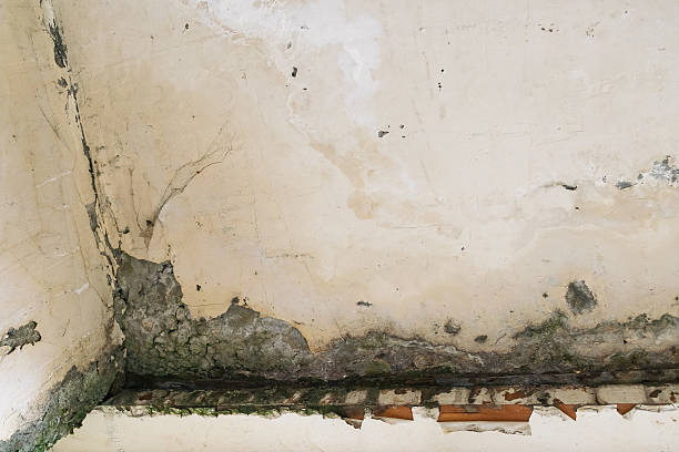 istock Damaged wall with mold and moisture stains 2238677910