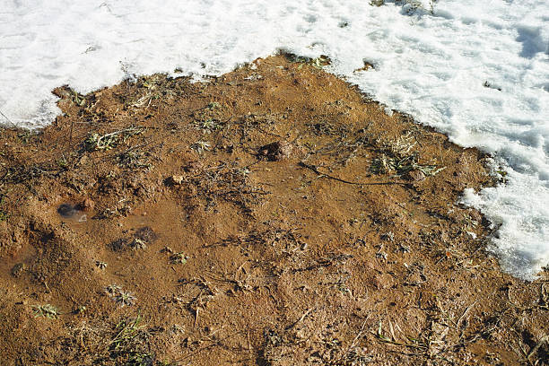 istock wet ground and melting snow 2238678276