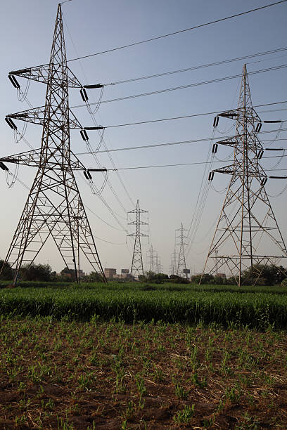 istock Scene of plants and power lines 2238680339