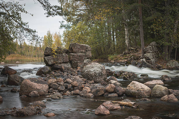 Rocky river in a forest landscape