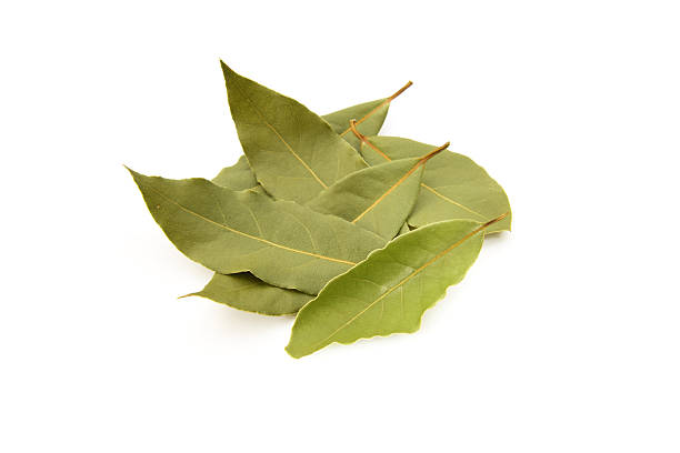 istock Dried natural bay leaves isolated on white 2238683504