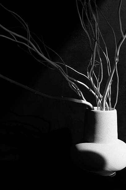 Ceramic vase with dry branches and sunlight shadow black and white background, monochrome.Copy space, Minimal aesthetic interior accessories.