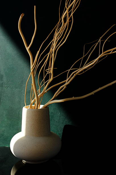 Beige ceramic vase with dry branches and sunlight shadow on black table near dark green wall.Copy space, Minimal aesthetic interior accessories.