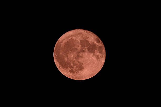 istock Strawberry Moon Rising in a Clear Night Sky 2238686819