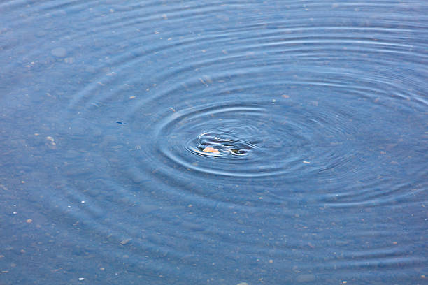 istock A small ripple in the water 2238691530