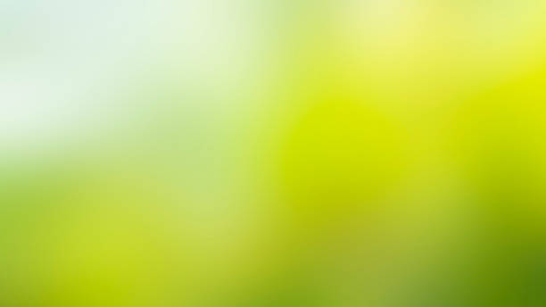 istock Bright gradient background in green and yellow colors. 2238693383
