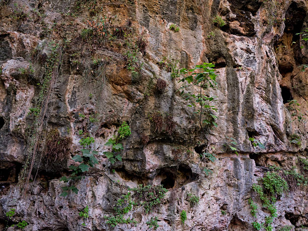 Coast rock by Riomaggiore, Cinque Terre