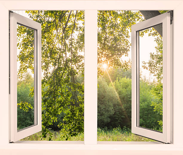 istock Open Window with Sunlit Forest View in Morning 2238708605