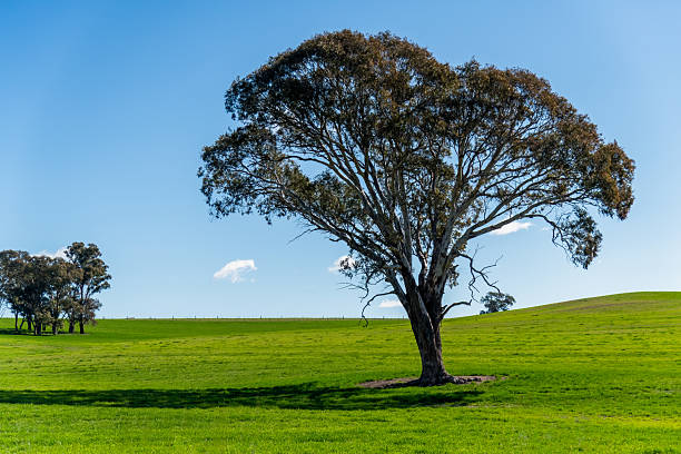 istock Season's shift across the countryside from Winter towards Spring 2238711088
