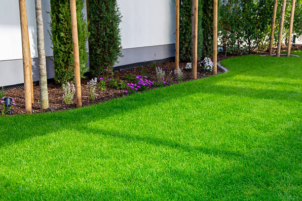 istock Newly laid turf on a new detached house 2238711613