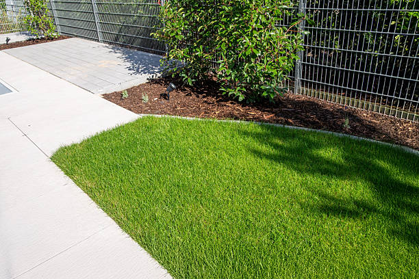istock Newly laid turf on a new detached house 2238711619