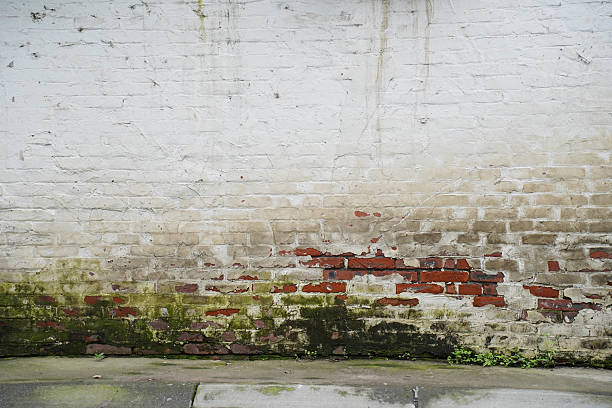 istock Closeup white painted brick wall with moss 2238712024