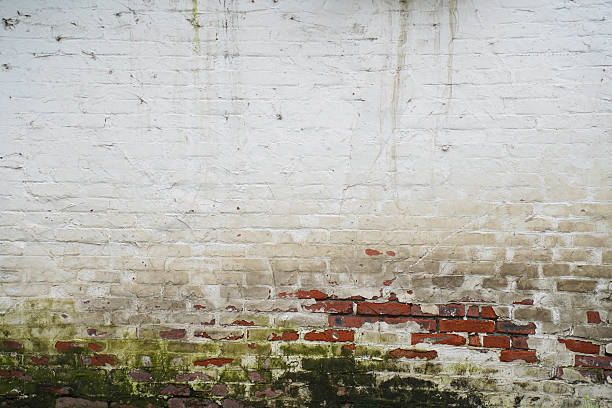 istock Closeup white painted brick wall with moss 2238712025