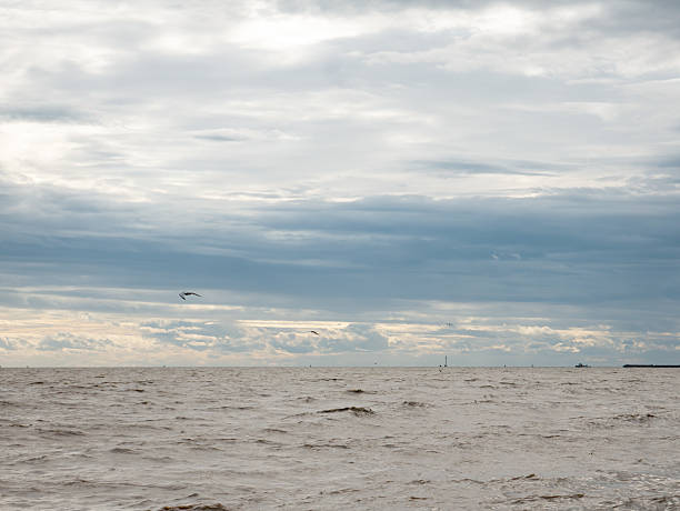 istock Dramatic Cloudy Sky Over Calm Ocean Sea with Traditional Bamboo Fish Trap Stakes - Peaceful Coastal Seascape Nature Background. 2238716899