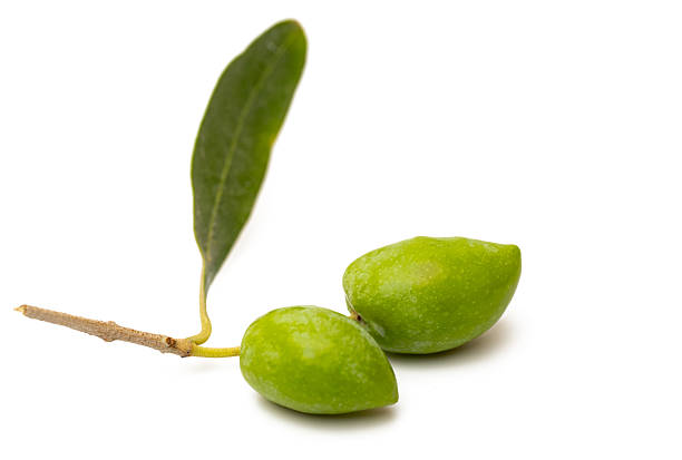istock A branch with olives isolated 2238720486