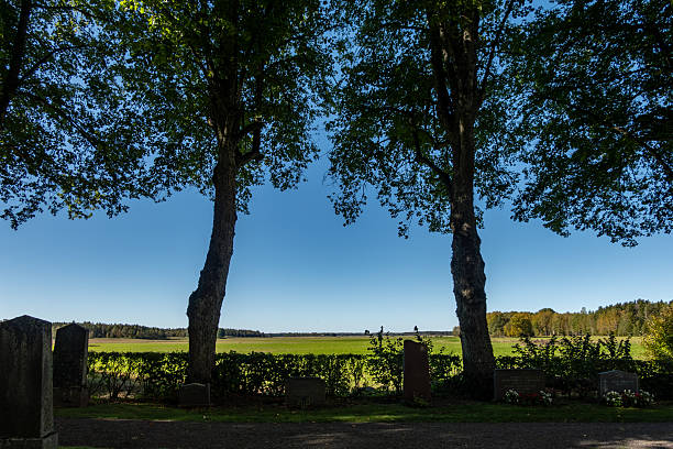 Tarna, Sweden A landscape with trees and pasture at the Tarna Church and a graveyard.