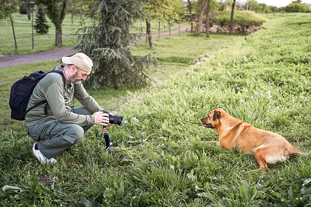 istock Taking photos of the dog 2238725012