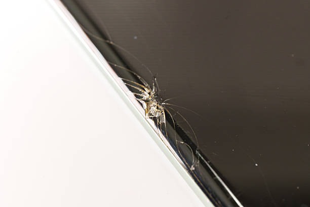 istock Spider exploring the edge of a phone on a clean surface 2238726572