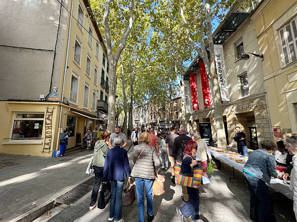 Bustling outdoor market on a street lined with large plane trees in Ceret, a town in the French Pyrenees