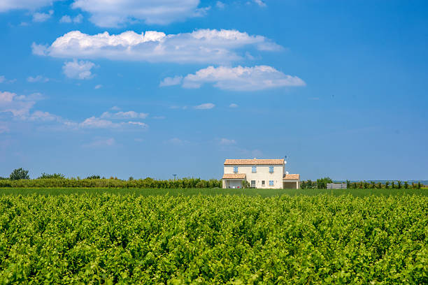 Camargue, France - June 8, 2015: White house in the countryside of Camargue (Provence, France) at spring (june)