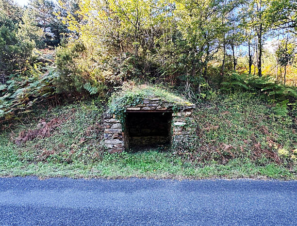 Abandoned stone watermill by mountain creek at dusk in winter. Lalín, Pontevedra province, Galicia, Spain.