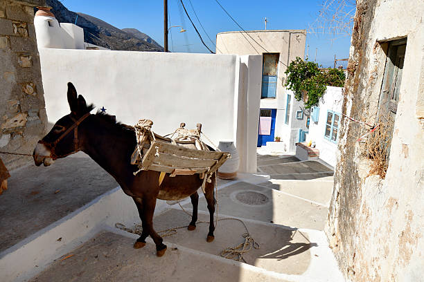 The Donkey Path in Santorini, also known as the Karavolades Stairs, winds its way from the port of Fira up to the cliffside town, offering breathtaking views of the caldera along the way. Traditionally used by donkeys carrying visitors and goods, this historic path is a unique way to experience the island's volcanic beauty, whitewashed villages, and the timeless charm that makes Santorini one of the most enchanting destinations among the Greek islands.