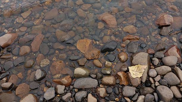 istock Clear Water Gently Ripples Over Colorful River Stones, with a Single Autumn Leaf Floating — Serene, Natural, and Perfectly Tranquil 2238738921
