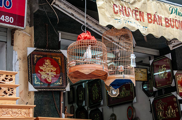 Hanoi, Vietnam - nov 30, 2013: view of the typical wooden cages , a constant feature in the streets of Hanoi, hobby for a lot of people.