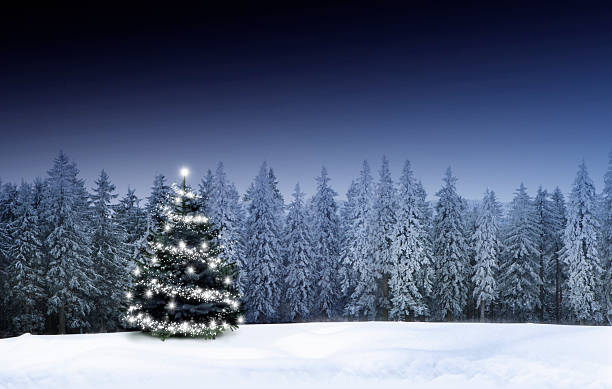 istock Winter Christmas atmosphere with snow and Christmas tree 2238746459