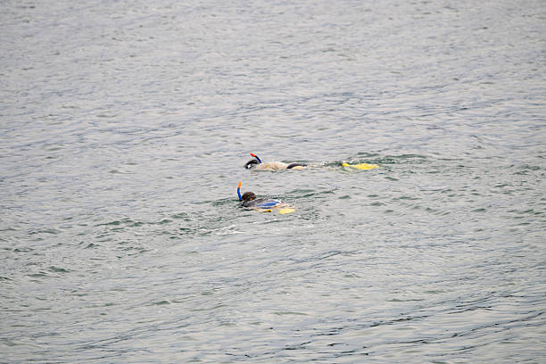 istock Two divers swimming and watching the sea 2238746728