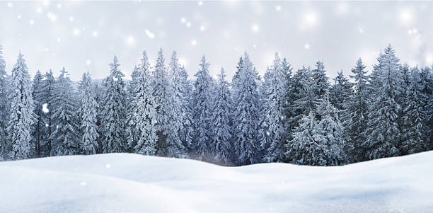 istock Winter Christmas atmosphere with snow and Christmas tree 2238747789