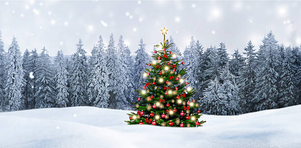 istock Winter Christmas atmosphere with snow and Christmas tree 2238747916